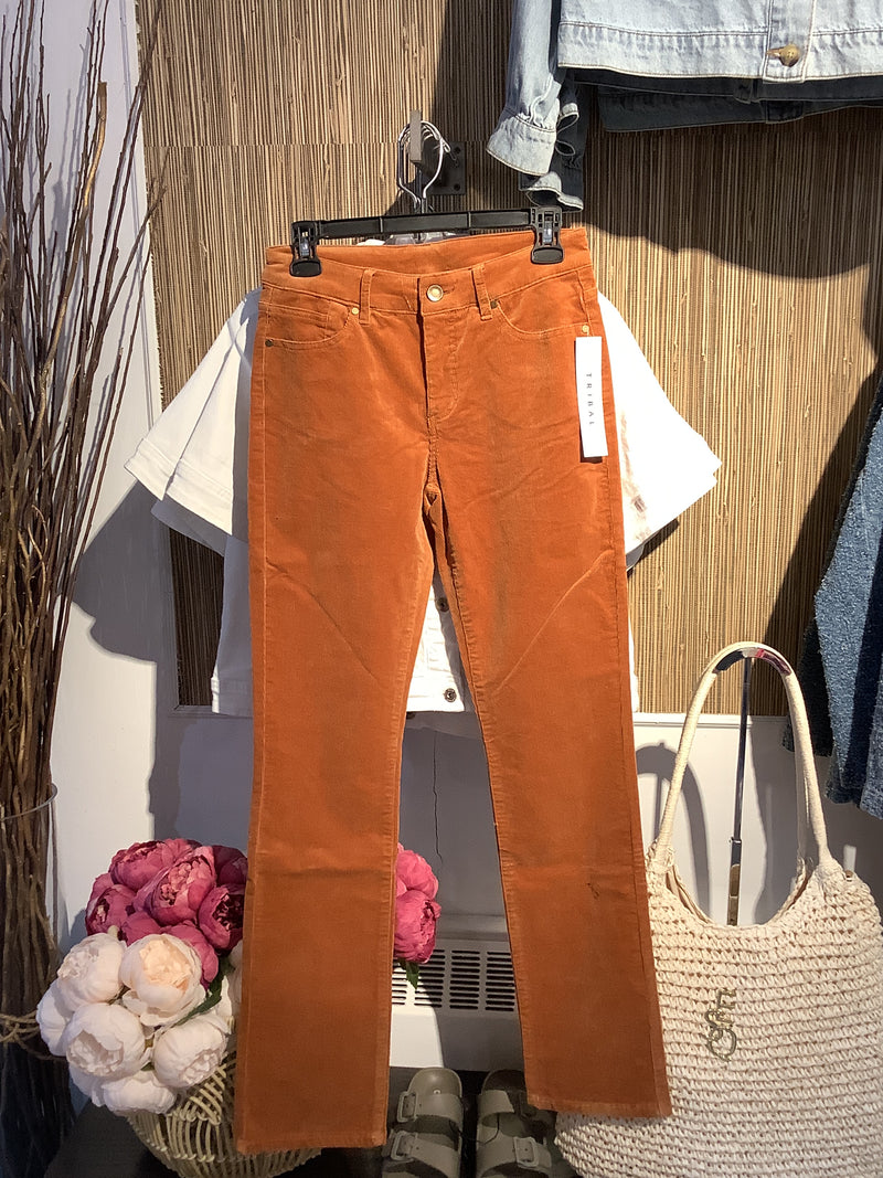 Pantalon velour