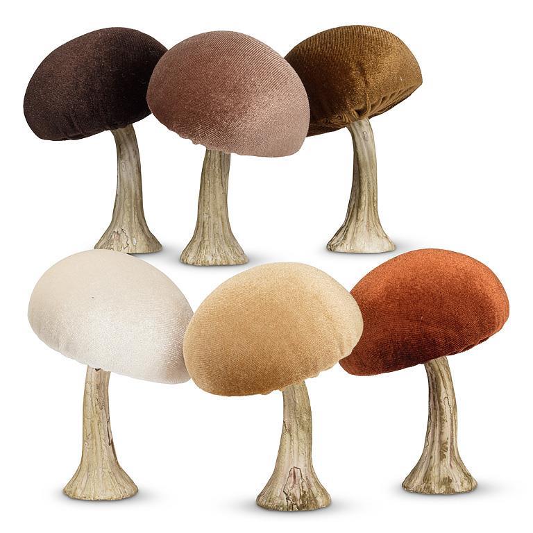 Champignons velours