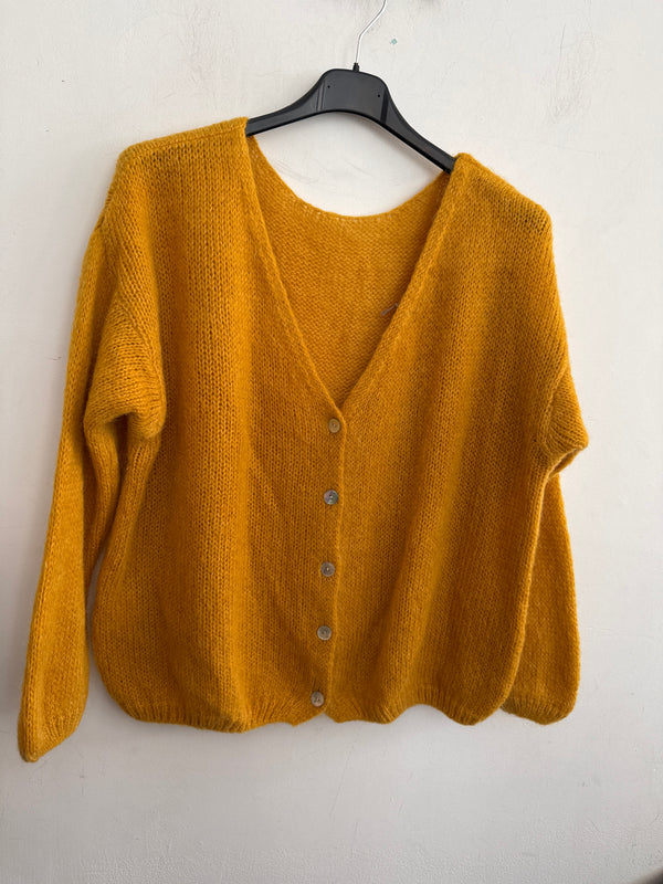 Gilet / cardigan